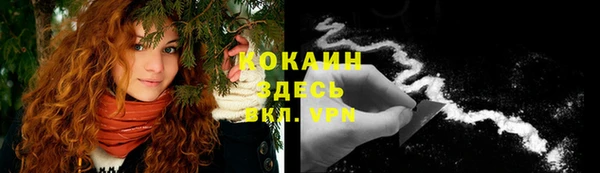 крисы Пестово