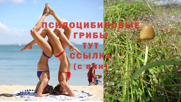 тгк Пересвет