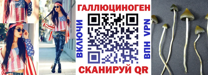 Псилоцибиновые грибы Cubensis купить закладку Белый
